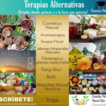 Neue Kurse demnächst verfügbar 💻– bleib gespannt!