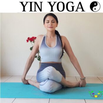 Entdecke Yin Yoga mit Pilar – eine tiefgehende, ruhige Praxis zur Harmonisierung von Körper, Geist & Energie. Inklusive PDF-Manual, Übungsvideos, Meditation & natürlichen Pflegetipps. Ideal für jedes Level!