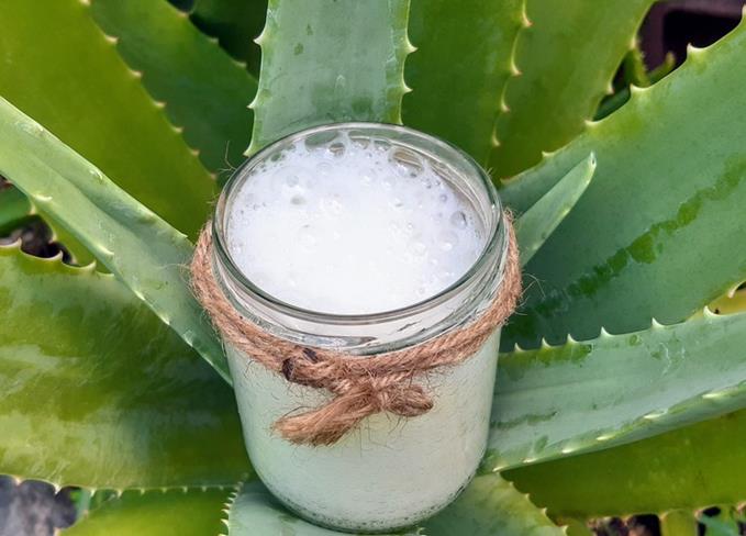 Natuerlicher-Conditioner-BonaVita-Holistic-School-NamasteShop