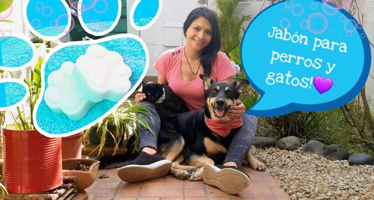 Seife-fuer-Hunde-und-Katzen-NamasteShop